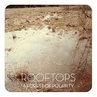 A Forest of Polarity / Rooftops
