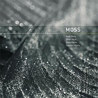 Moss / molly berg