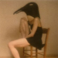 PENGUIN CAFE ORCHESTRA -tribute- / Various Artists